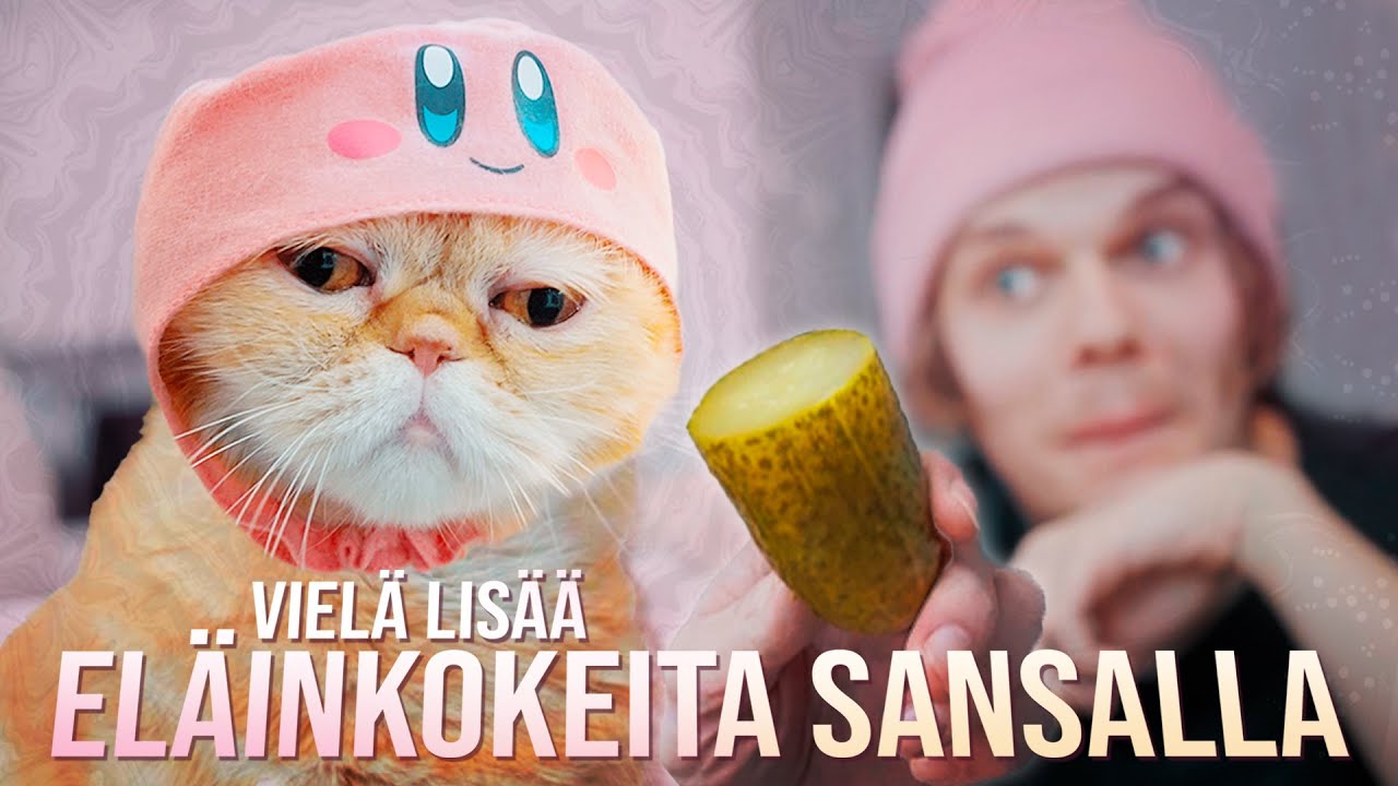 Vieläkin lisää eläinkokeita Sansalla! - YouTube