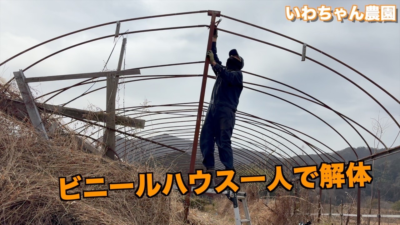 ビニールハウスの解体　一人でやると時間がかかる