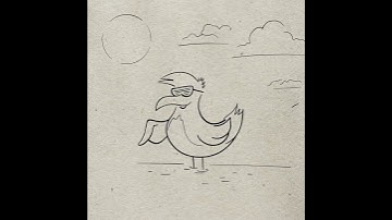 Beach Bird - Adobe Fresco Motion Graphics