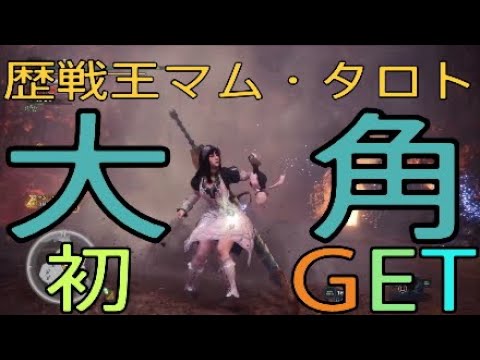 Mhw I 歴戦王マム タロト初クリア 狂乱のエルドラド 追跡lv 6 Youtube