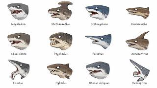 Every EXTINCT SHARK Explained in 24 Minutes