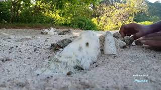 Wedi Ireng Beach Art Time Lapse