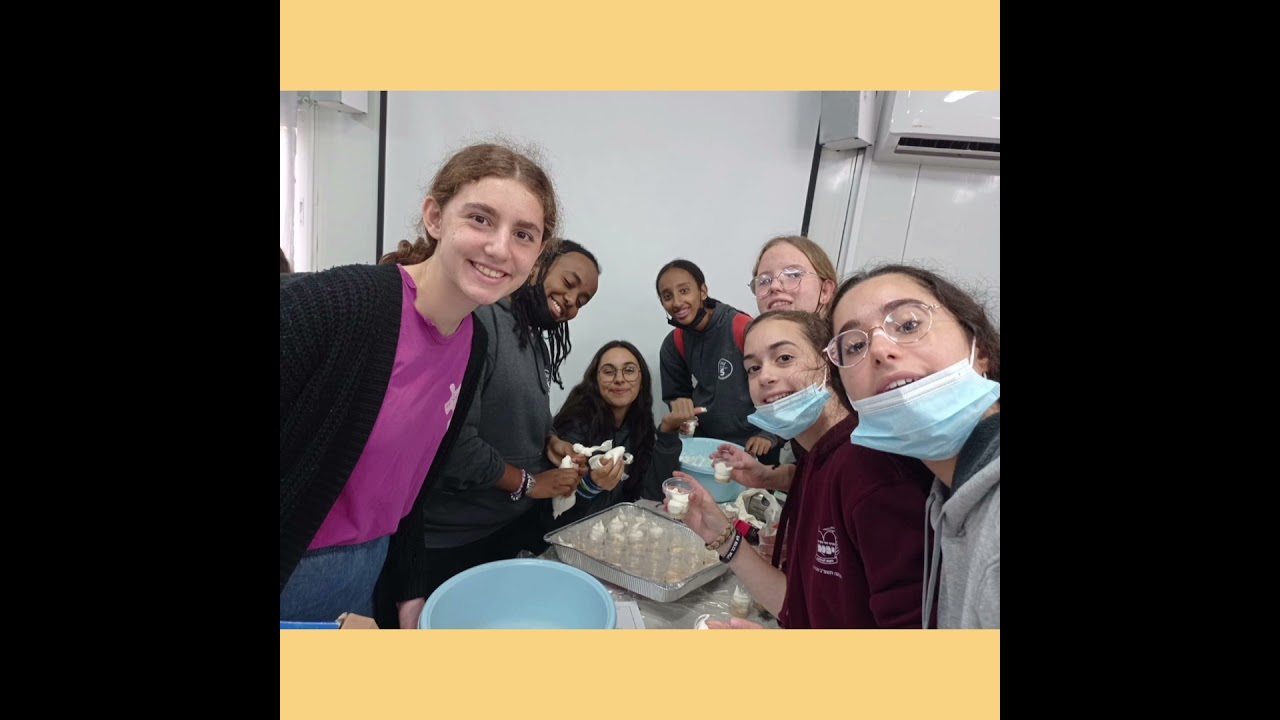 סמנריון אולפנת צביה רחובות