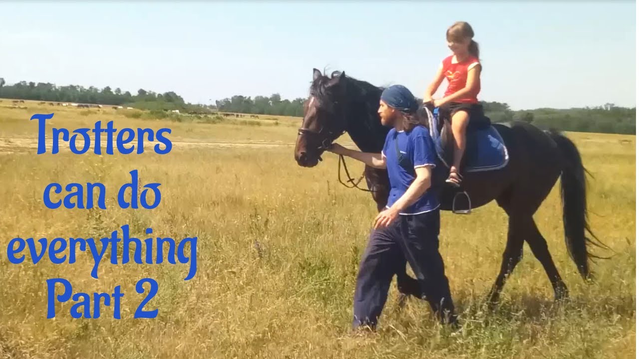 Trotters can do everything Part 2 - YouTube