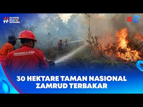 Siak National Park Buffer Zone Catches Fire