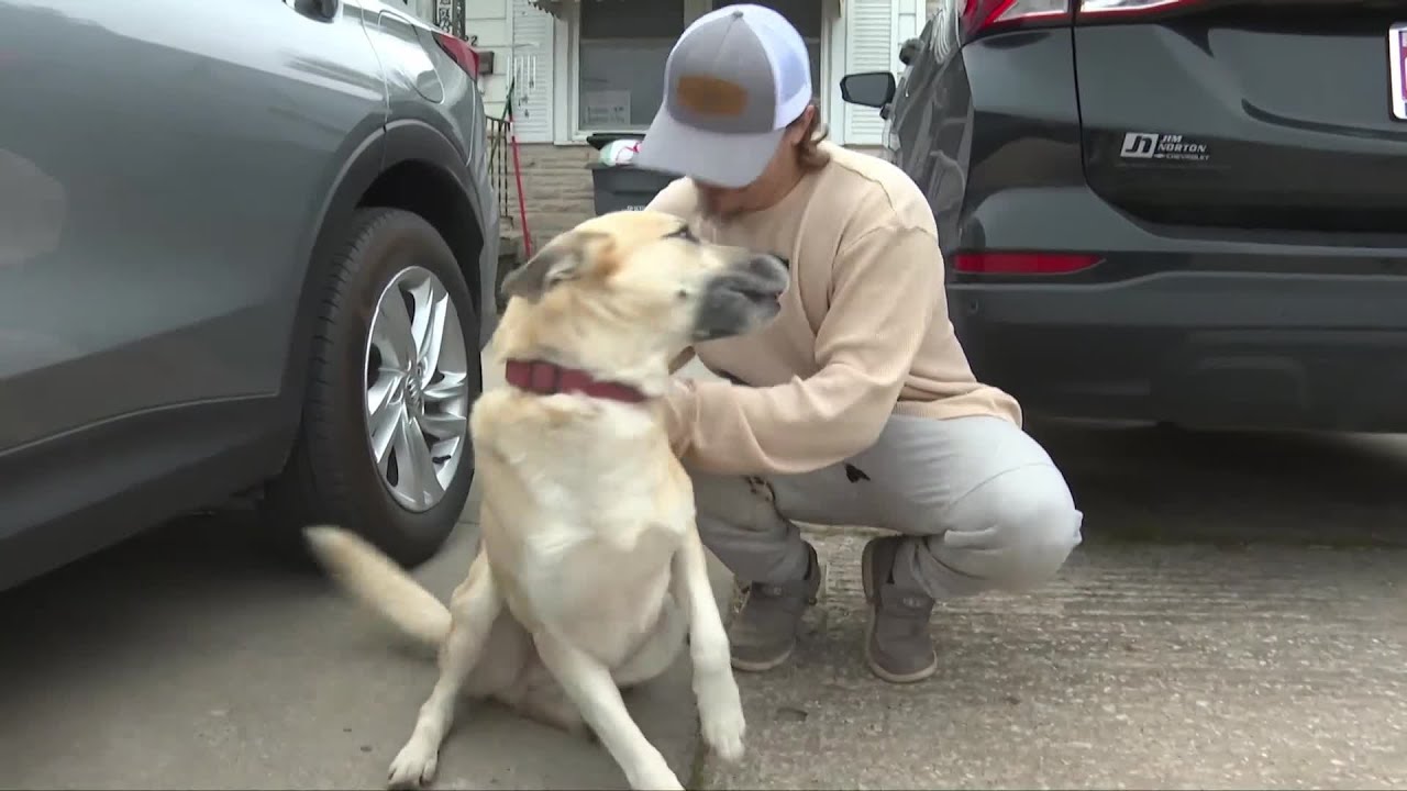 Man reunited with lost dog at pet adoption event - YouTube