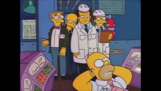 The Goverment Fines The Nuclear Power Plant - The Simpsons