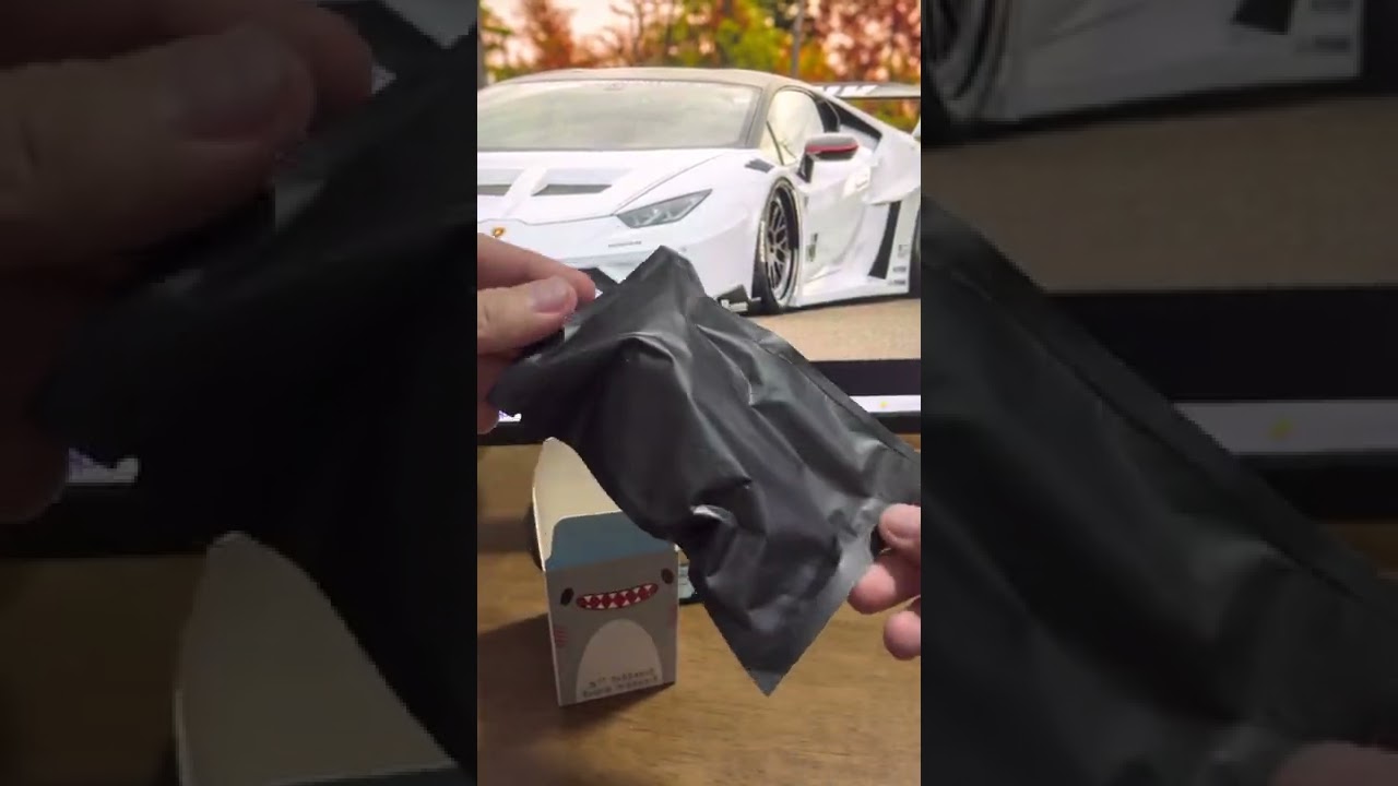 Unboxing Chanpu Chanpu (Blind Box Wave I)