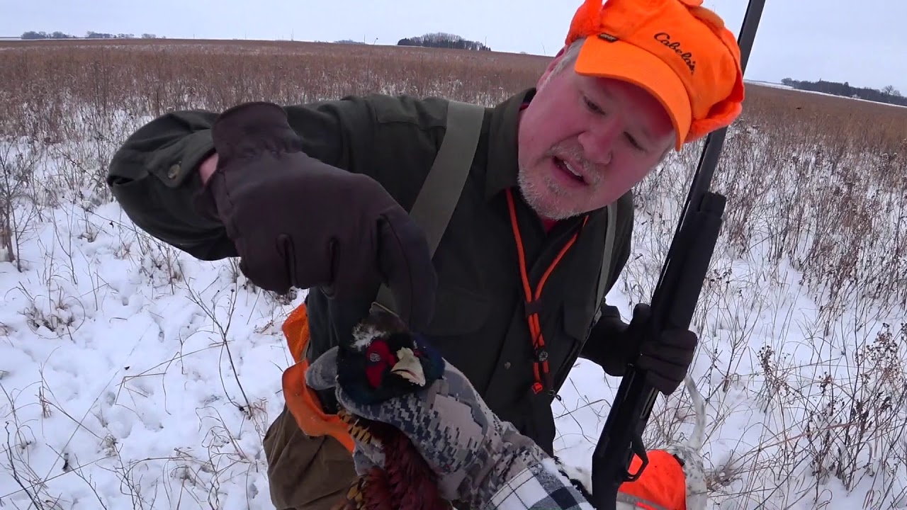 Minnesota Pheasant Hunt in Wet Snow Nov. 29, 2019 Never A Goose Chase Video Log YouTube