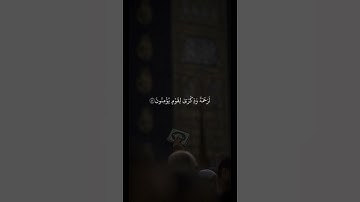 تلاوة هادئة ومريحة 🪐🤎 قران كريم | عبد الرحمن مسعد
