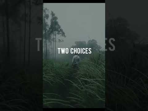 You Have Only Two Choices Best Motivational Quotes 