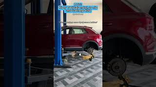 KOCIE MEMY 😼 POV: Twój tata mówi, że nie chce żadnego kota #catmemes #koty #memy #relacje #relatable