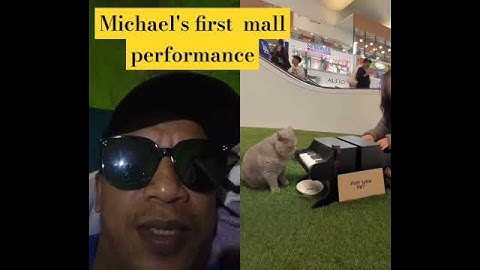 Michael's first  mall performance #cat #catlover #cute #funny #pets #challenge #comedy #skiing