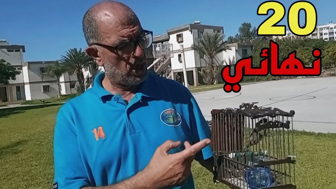 حوار مع اساتدة من مباراة  تغريد طائر الحسون والهجينه صنف مالقا من جمعية المعاريف بالدار البيضاء