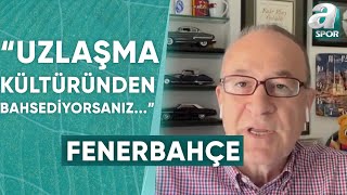Haldun Domaç: \