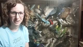 Super Science: Shadow Box of Birds