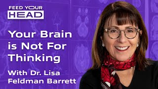 Your Brain Is Not For Thinking | Feed Your Head