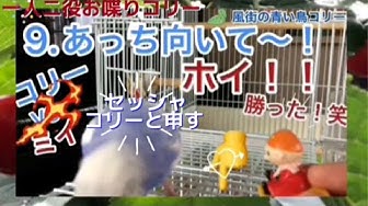 有り難き幸せ Youtube 有り難き幸せ Youtube