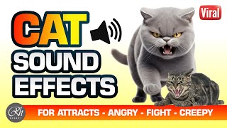 CAT SOUND EFFECTS FOR EDITS - SUARA KUCING