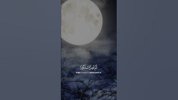 تلاوة هادئة القارئ #ياسر_الدوسري  #راحة_نفسية #قران #اكسبلور #حالات_واتس