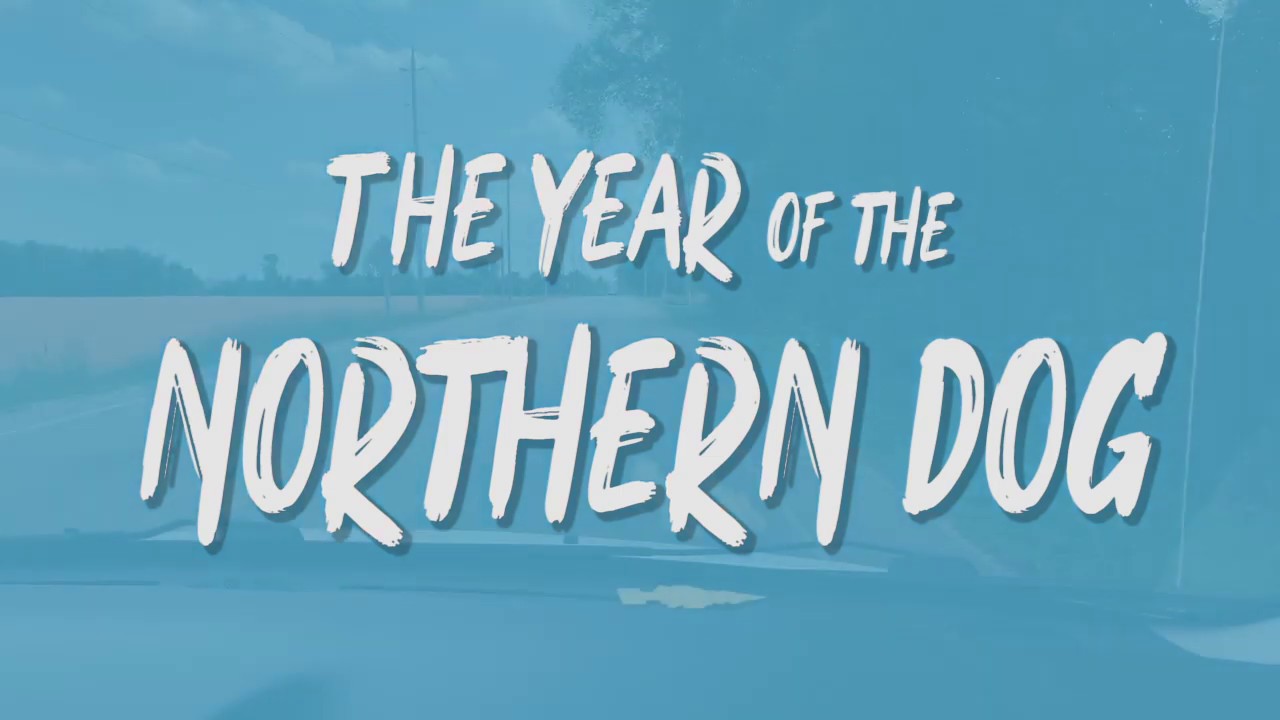 Year of the Northern Dog