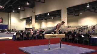 Alec Yoder - Pommel Horse - 2016 Winter Cup Prelims