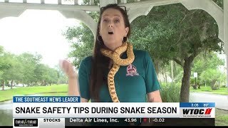 Experts give snake safety tips during snake season