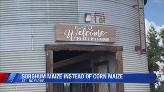 No corn maze at At'l Do Farms this year