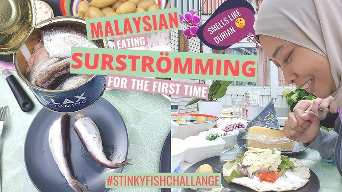 Eating Surströmming (The SMELLIEST Fish in the WORLD) - Just a Brit Abroad  