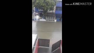 Banjir jakarta  25 februari 2020 kenangan ...