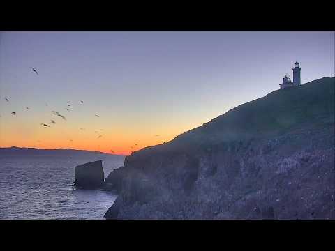 Preview image for LIVE Anacapa Island Cove Lookout Cam: Channel Islands National Park - NPS | explore.org