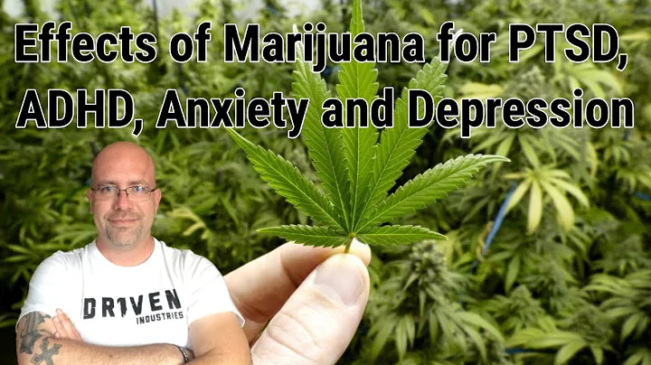 Effects of Marijuana for PTSD, ADHD, Anxiety and Depression