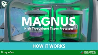 Introducing the MAGNUS High Throughput Tissue Processor – How it works