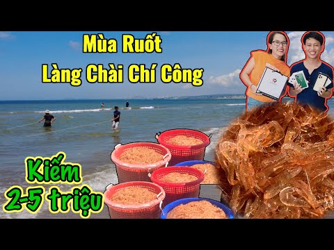 Video Kiếm Tiền Triệu từ Nghề Cào Ruốt Tại Làng Chài Chí... - youtube
