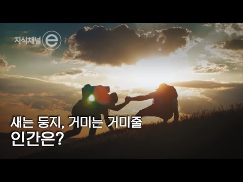 지식채널e - 우정이 있었다