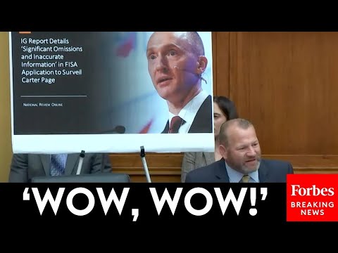 'That's Where Things Kind Of Get Interesting' Troy Nehls Launches Defense Of Carter Page