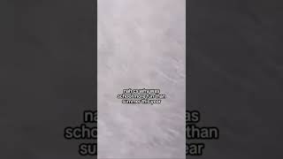 I wanna go back to school 😭 #real #relatable #missschool