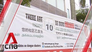Dengue cases on the rise again