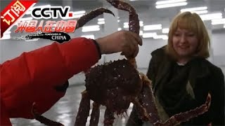 [Foreigner in China] 20170916 | CCTV-4