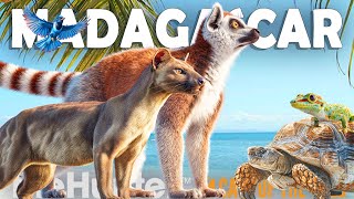 We Need A Madagascar Map In Call Of The Wild Concept Video