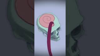 Ribbons #animation #anime
