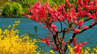 Kashmir scenery screenshot 2