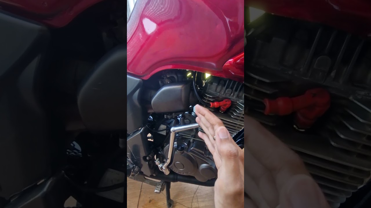 karbu tiger paling enak 