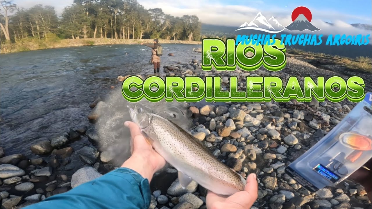NOS FUIMOS A LA REGIÓN DE LOS RIOS POR LAS TRUCHAS ARCOIRIS Y LAS ENCONTRAMOS CON HERMOSOS PAISAJES🏞