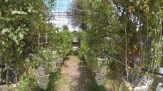 Hydro Stack Garden 5- 26-14