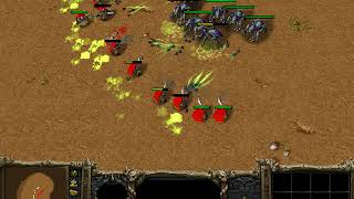 50 Rifleman Vs 50 Crypt Fiend