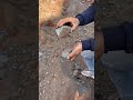 Video Image