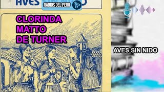 🎙️ Aves sin nido | Mi novela Favorita 🔥Audiolibro Completo 🎶Audio HD screenshot 3