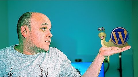 3 Reasons Why is my Wordpress Website Slow