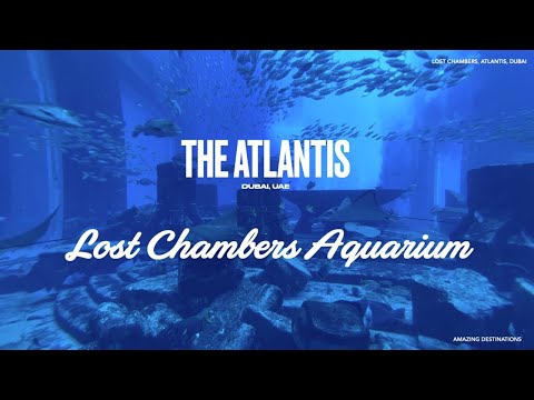Lost Chambers | Atlantis | Dubai | UAE | HD